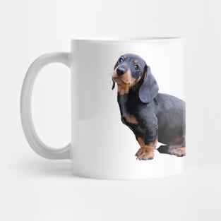 Dackel Mug